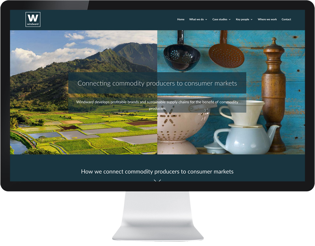 website design for chilli sauce brand website design for chilli sauce brand