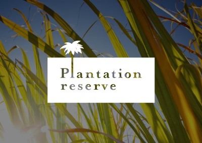 Plantation Reserve