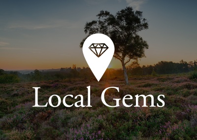 Local Gems