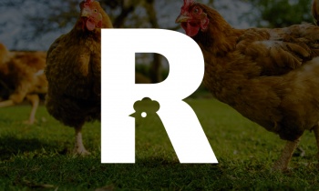 What makes a great logo?