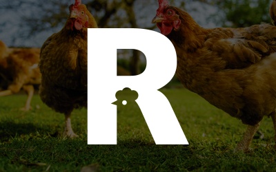 What makes a great logo?